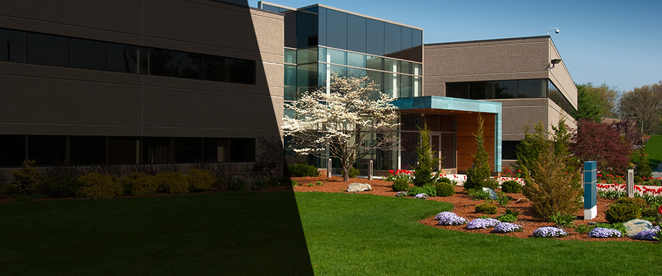 Millbrook Landscapers
