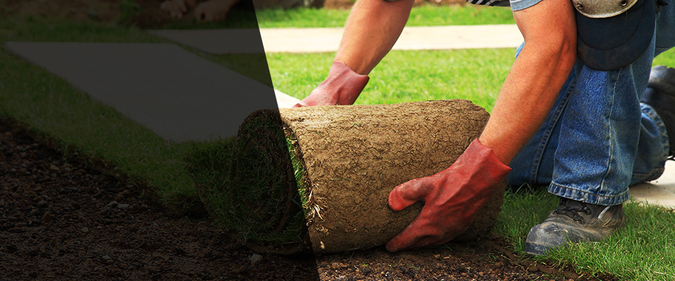 Millbrook Landscapers
